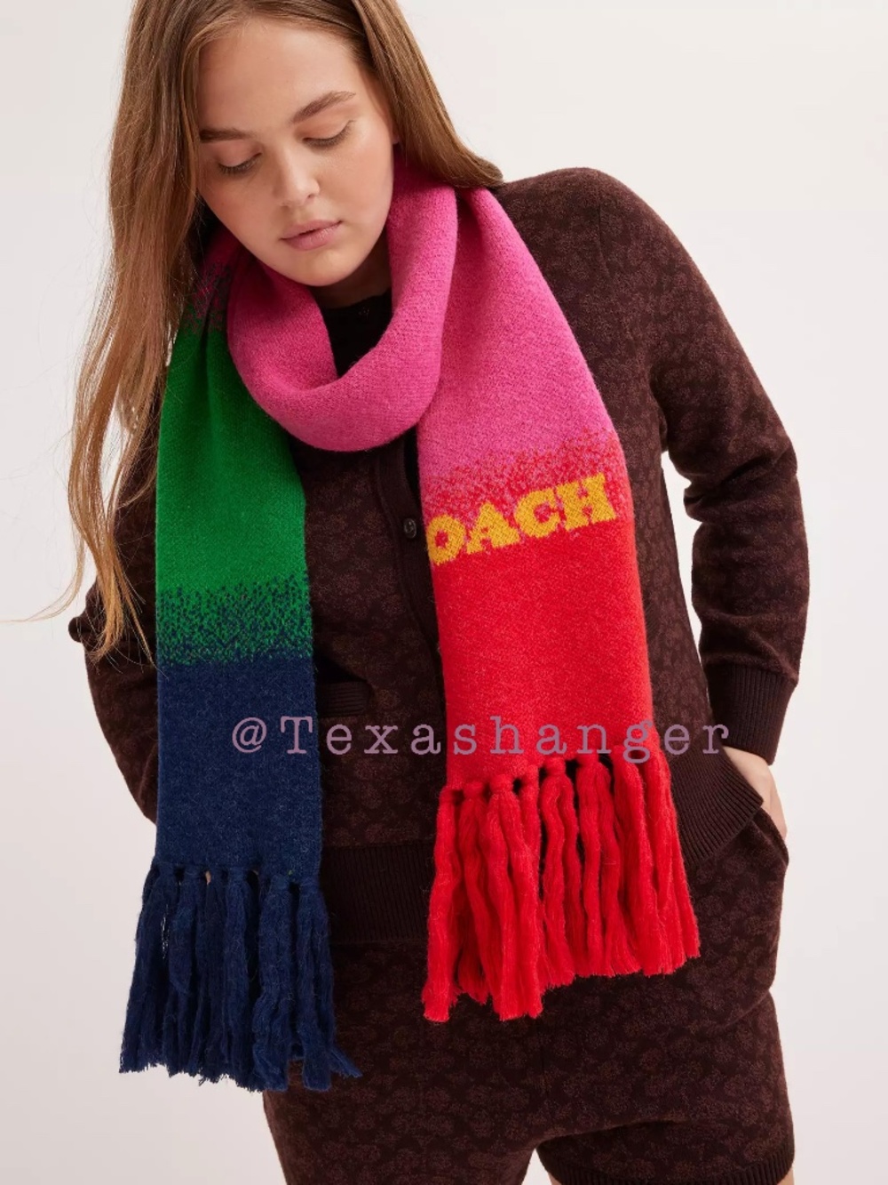 Coach Ombre Print Muffler Scarf NWT